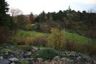 gal/Copenhagen/Botanisk_Have/_thb_Botanisk_Have_Copenhagen71.jpg