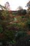 gal/Copenhagen/Botanisk_Have/_thb_Botanisk_Have_Copenhagen74.jpg