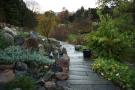 gal/Copenhagen/Botanisk_Have/_thb_Botanisk_Have_Copenhagen75.jpg
