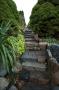 gal/Copenhagen/Botanisk_Have/_thb_Botanisk_Have_Copenhagen76.jpg