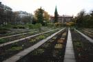 gal/Copenhagen/Botanisk_Have/_thb_Botanisk_Have_Copenhagen80.jpg