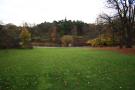 gal/Copenhagen/Botanisk_Have/_thb_Botanisk_Have_Copenhagen81.jpg