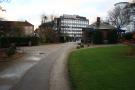 gal/Copenhagen/Botanisk_Have/_thb_Botanisk_Have_Copenhagen84.jpg
