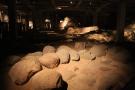 gal/Copenhagen/Christiansborg_Slot/Ruines/_thb_Christiansborg_Castle_Ruins30.jpg