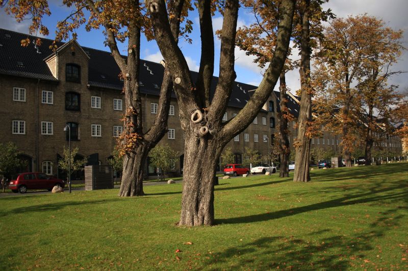 gal/Copenhagen/Christianshavn/Copenhagen_Christianshavn72.jpg
