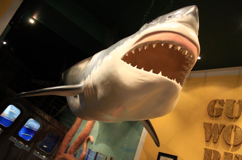 gal/Copenhagen/Guinness_World_Records_Museum/Guinness_World_Records_Museum009.jpg