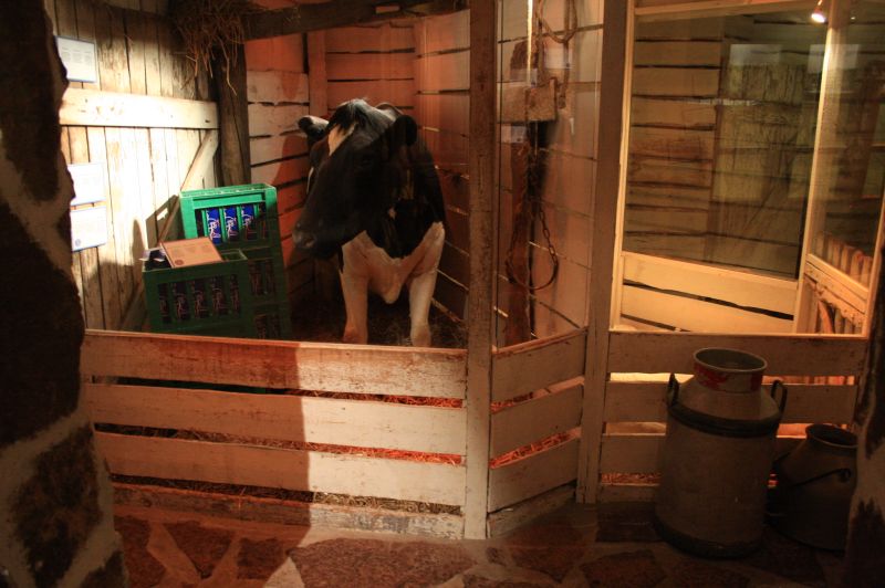 gal/Copenhagen/Guinness_World_Records_Museum/Guinness_World_Records_Museum130.jpg