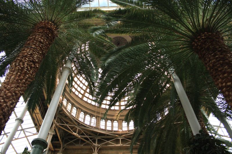 gal/Copenhagen/Ny_Carlsberg_Glyptotek/Ny_Carlsberg_Glyptotek_Copenhague026.jpg
