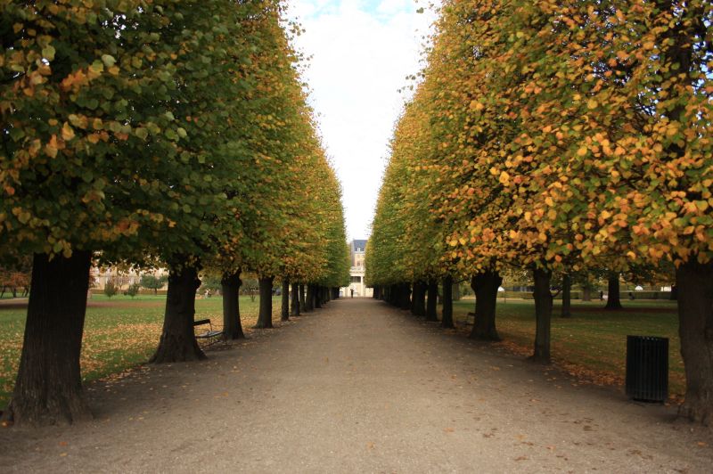 gal/Copenhagen/Rosenborg_Castle/Rosenborg_Have/Copenhagen_Rosenborg_Have16.jpg