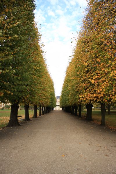 gal/Copenhagen/Rosenborg_Castle/Rosenborg_Have/Copenhagen_Rosenborg_Have17.jpg