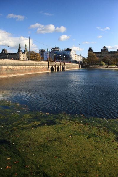 gal/Copenhagen/Soerne_-_Northern_Lakes/Soerne_Copenhague_Lacs_Nord058.jpg