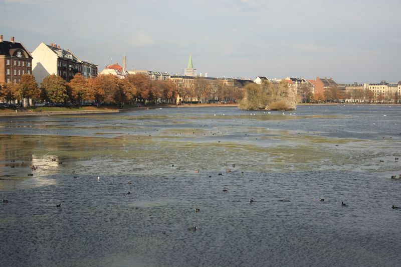gal/Copenhagen/Soerne_-_Northern_Lakes/Soerne_Copenhague_Lacs_Nord117.jpg