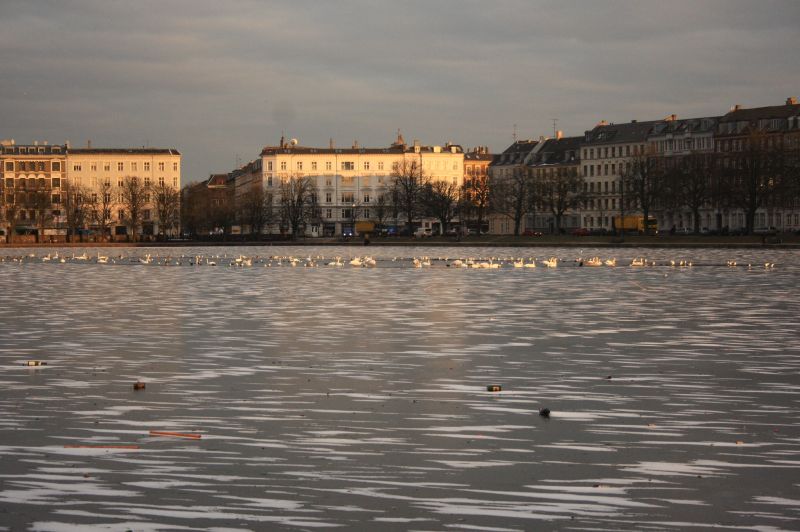 gal/Copenhagen/Soerne_-_Northern_Lakes/Soerne_Copenhague_Lacs_Nord128.jpg