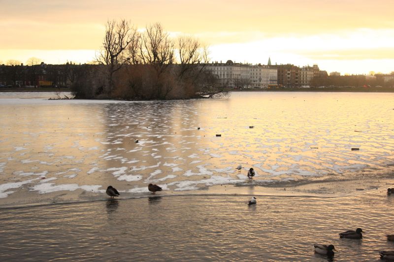 gal/Copenhagen/Soerne_-_Northern_Lakes/Soerne_Copenhague_Lacs_Nord132.jpg
