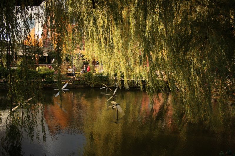 gal/Copenhagen/Tivoli_Gardens/Tivoli_Gardens_Copenhagen123.jpg