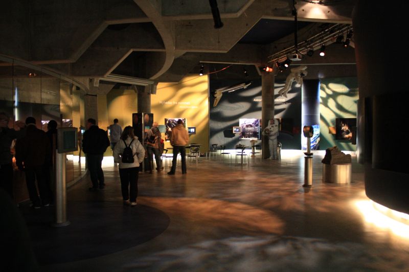 gal/Copenhagen/Tycho_Brahe_Planetarium/Tycho_Brahe_Planetarium_Copenhagen_Imax29.jpg