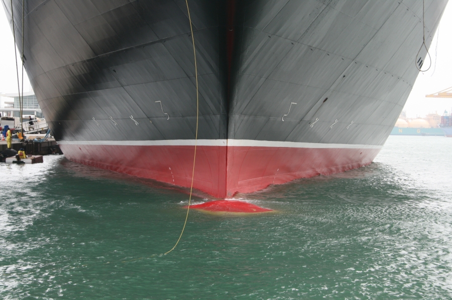gal/Disney_Cruise_Line/IMG_8149.JPG