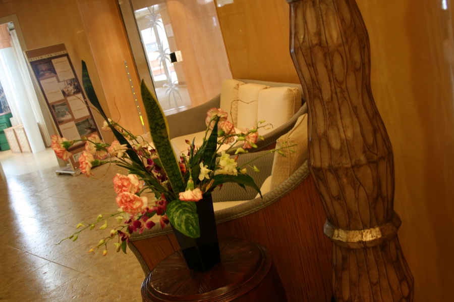 gal/Disney_Cruise_Line/Vista_Spa_Villas/IMG_7945.JPG