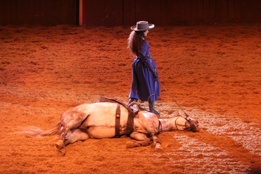 gal/Disneyland_Resort_Paris/Disney_Village/Buffalo_Bill_Wild_West_Show/IMG_8322.JPG