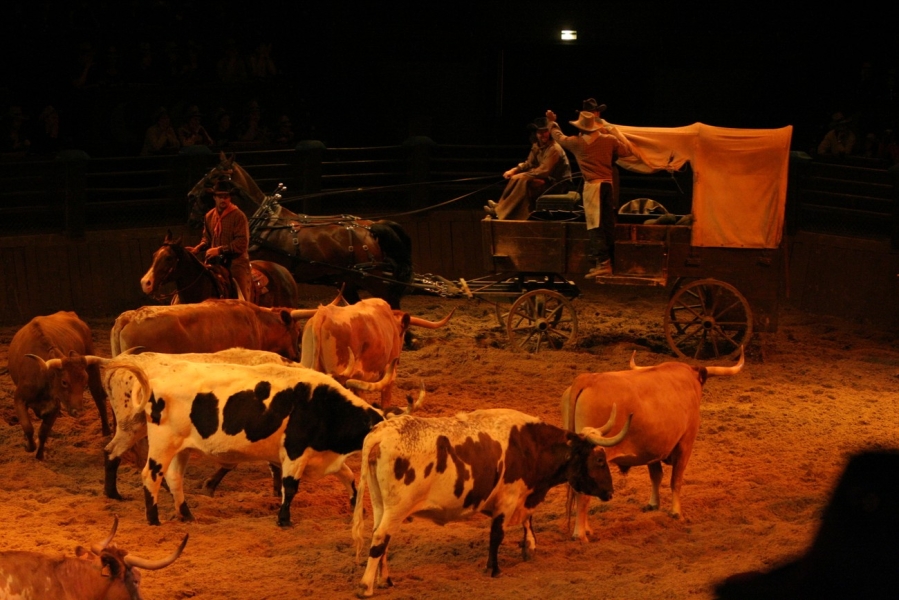 gal/Disneyland_Resort_Paris/Disney_Village/Buffalo_Bill_Wild_West_Show/IMG_8365.JPG