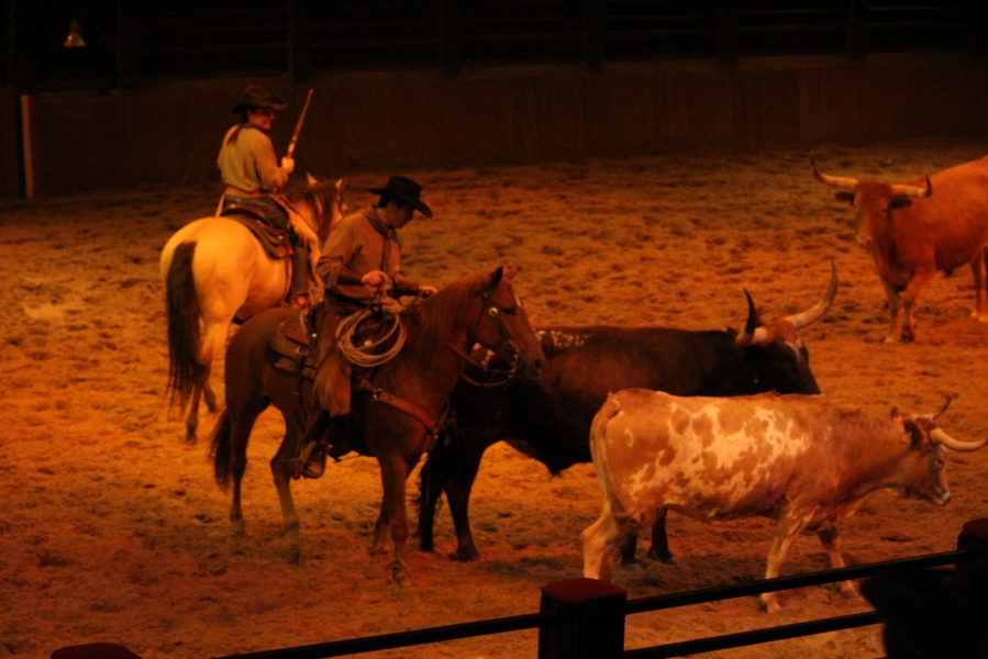 gal/Disneyland_Resort_Paris/Disney_Village/Buffalo_Bill_Wild_West_Show/IMG_8369.JPG