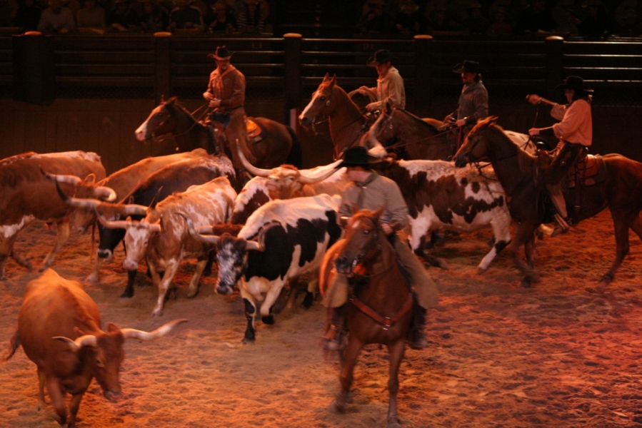 gal/Disneyland_Resort_Paris/Disney_Village/Buffalo_Bill_Wild_West_Show/IMG_8395.JPG