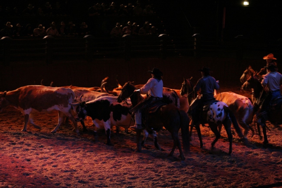 gal/Disneyland_Resort_Paris/Disney_Village/Buffalo_Bill_Wild_West_Show/IMG_8397.JPG