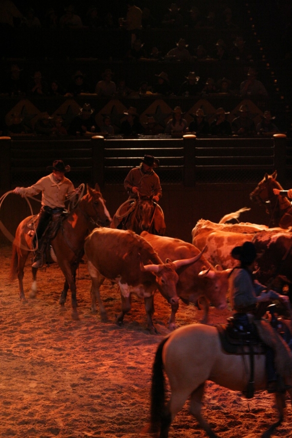gal/Disneyland_Resort_Paris/Disney_Village/Buffalo_Bill_Wild_West_Show/IMG_8400.JPG