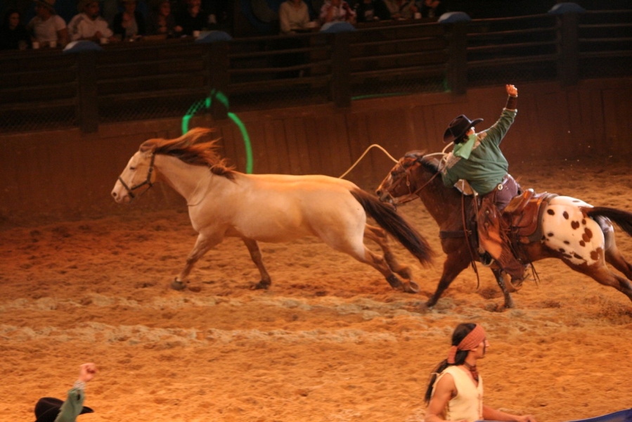 gal/Disneyland_Resort_Paris/Disney_Village/Buffalo_Bill_Wild_West_Show/IMG_8485.JPG