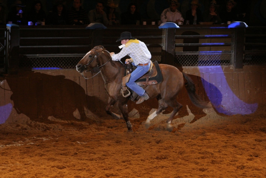 gal/Disneyland_Resort_Paris/Disney_Village/Buffalo_Bill_Wild_West_Show/IMG_8504.JPG