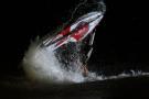 gal/Disneyland_Resort_Paris/Disney_Village/Jet_Ski_Tour/_thb_IMG_6604.JPG