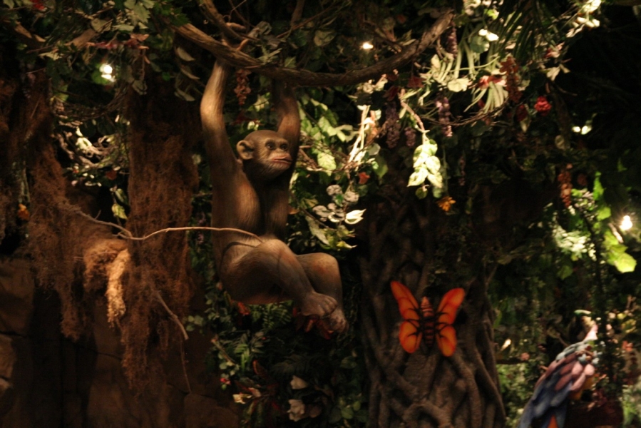gal/Disneyland_Resort_Paris/Disney_Village/Rainforest_Cafe/IMG_6793.JPG