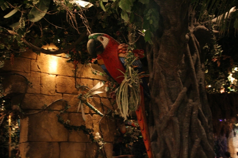 gal/Disneyland_Resort_Paris/Disney_Village/Rainforest_Cafe/IMG_6794.JPG