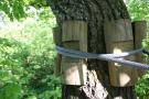 gal/Disneyland_Resort_Paris/Hotels/Davy_Crockett_Adventure/_thb_IMG_1083.JPG