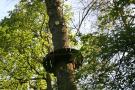 gal/Disneyland_Resort_Paris/Hotels/Davy_Crockett_Adventure/_thb_IMG_1128.JPG