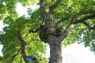 gal/Disneyland_Resort_Paris/Hotels/Davy_Crockett_Adventure/_thb_IMG_1133.JPG