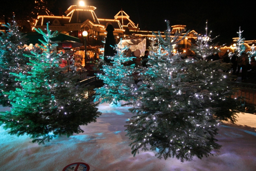 gal/Disneyland_Resort_Paris/noel07/Illuminations/IMG_9624.JPG