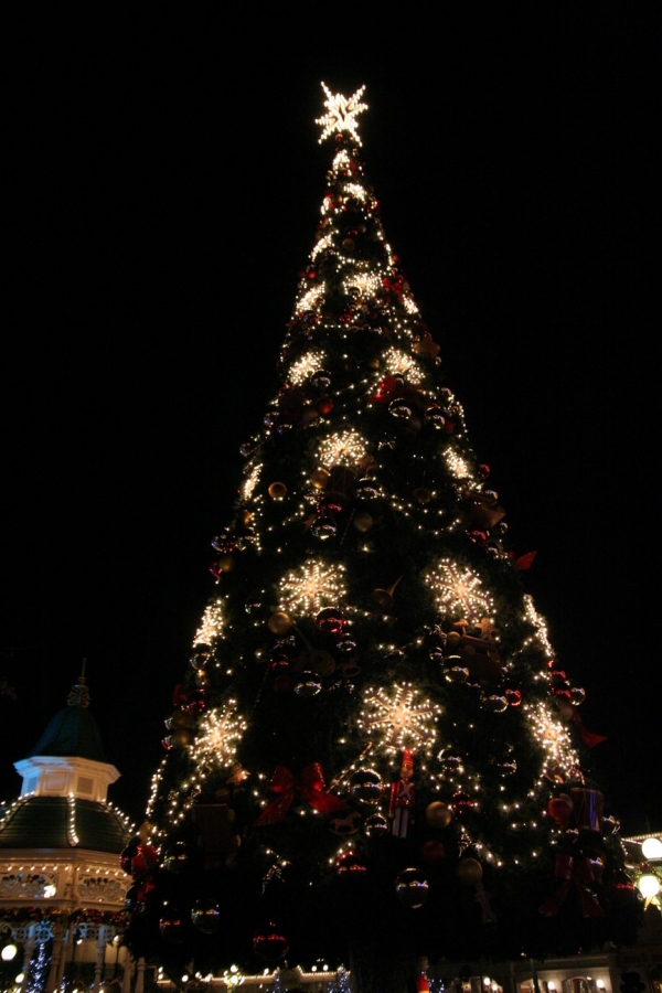 gal/Disneyland_Resort_Paris/noel07/Illuminations/IMG_9863.JPG