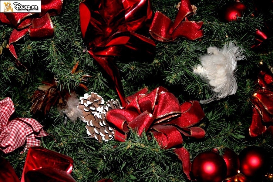 gal/Disneyland_Resort_Paris/noel07/Sapins/IMG_1212.JPG