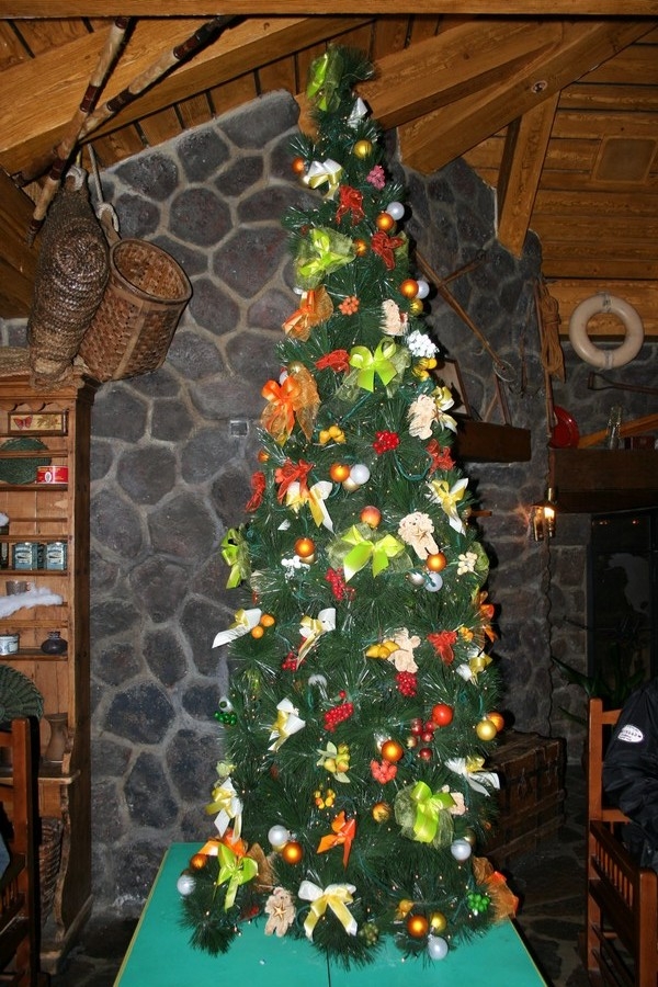 gal/Disneyland_Resort_Paris/noel07/Sapins/IMG_2015.JPG