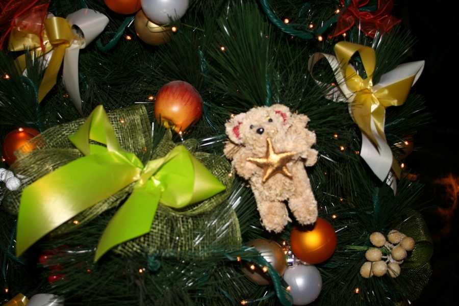 gal/Disneyland_Resort_Paris/noel07/Sapins/IMG_2016.JPG