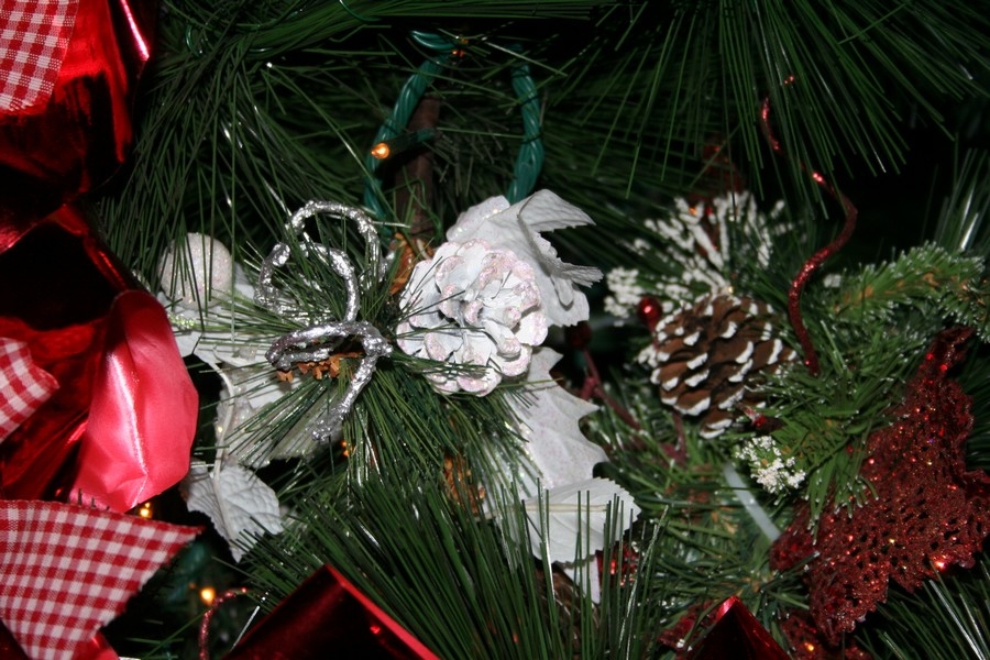 gal/Disneyland_Resort_Paris/noel07/Sapins/IMG_2028.JPG