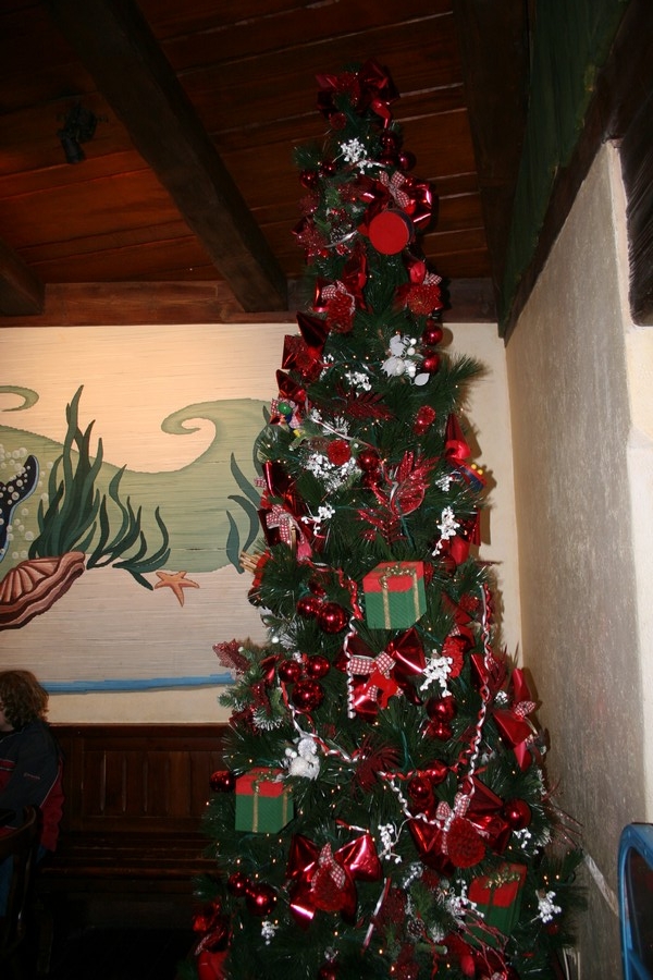 gal/Disneyland_Resort_Paris/noel07/Sapins/IMG_2033.JPG