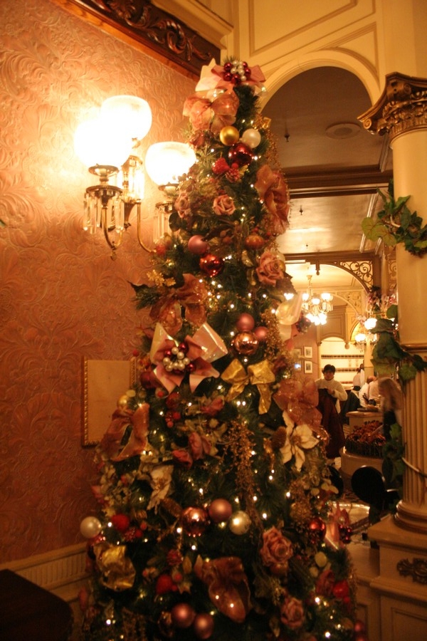gal/Disneyland_Resort_Paris/noel07/Sapins/IMG_2057.JPG