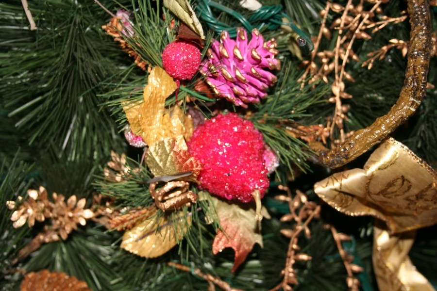 gal/Disneyland_Resort_Paris/noel07/Sapins/IMG_2068.JPG