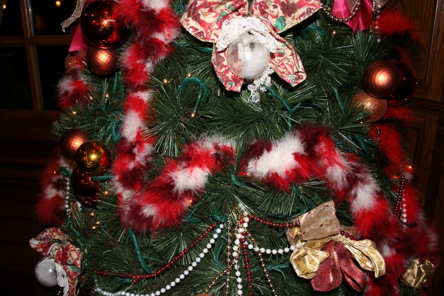 gal/Disneyland_Resort_Paris/noel07/Sapins/IMG_2083.JPG