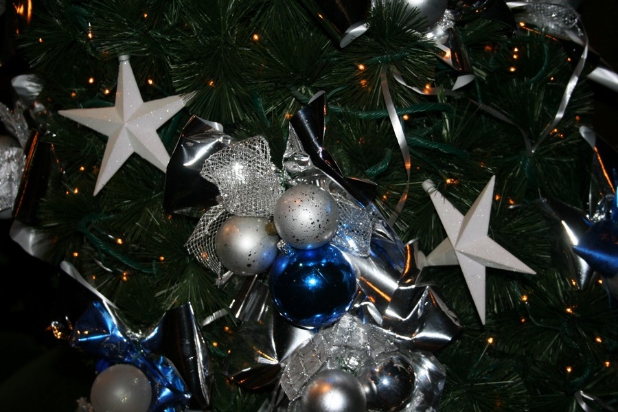 gal/Disneyland_Resort_Paris/noel07/Sapins/IMG_2092.JPG