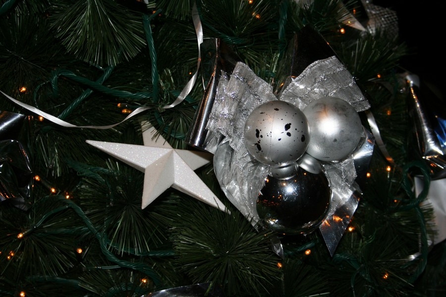 gal/Disneyland_Resort_Paris/noel07/Sapins/IMG_2093.JPG