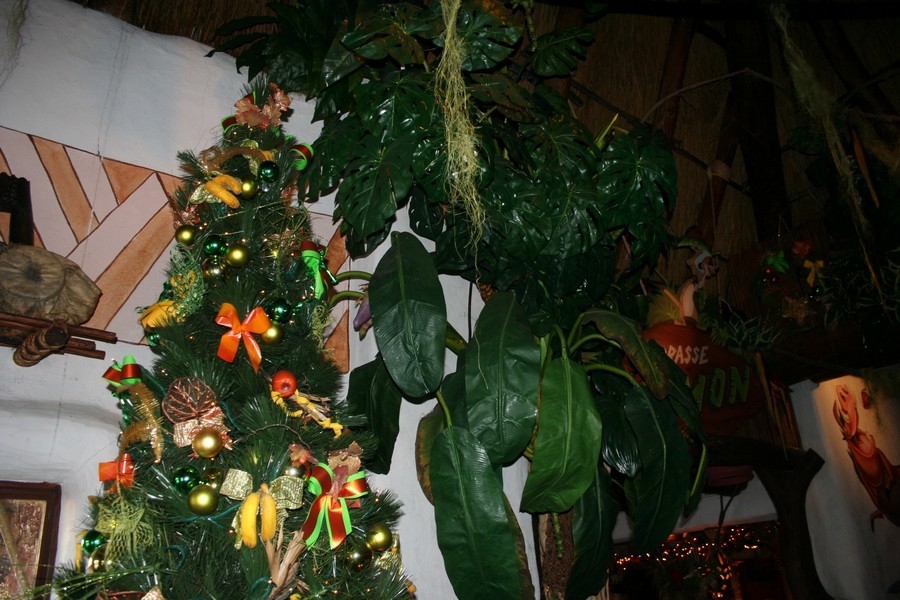 gal/Disneyland_Resort_Paris/noel07/Sapins/IMG_2293.JPG