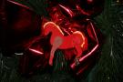 gal/Disneyland_Resort_Paris/noel07/Sapins/_thb_IMG_2027.JPG